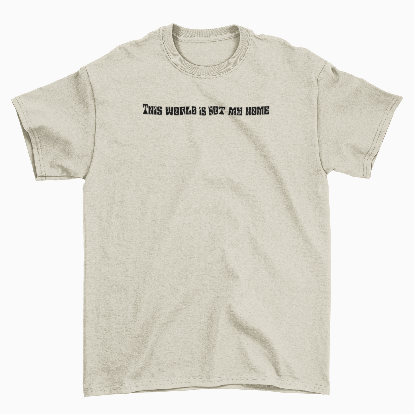 THIS WORLD IS NOT MY HOME TEE